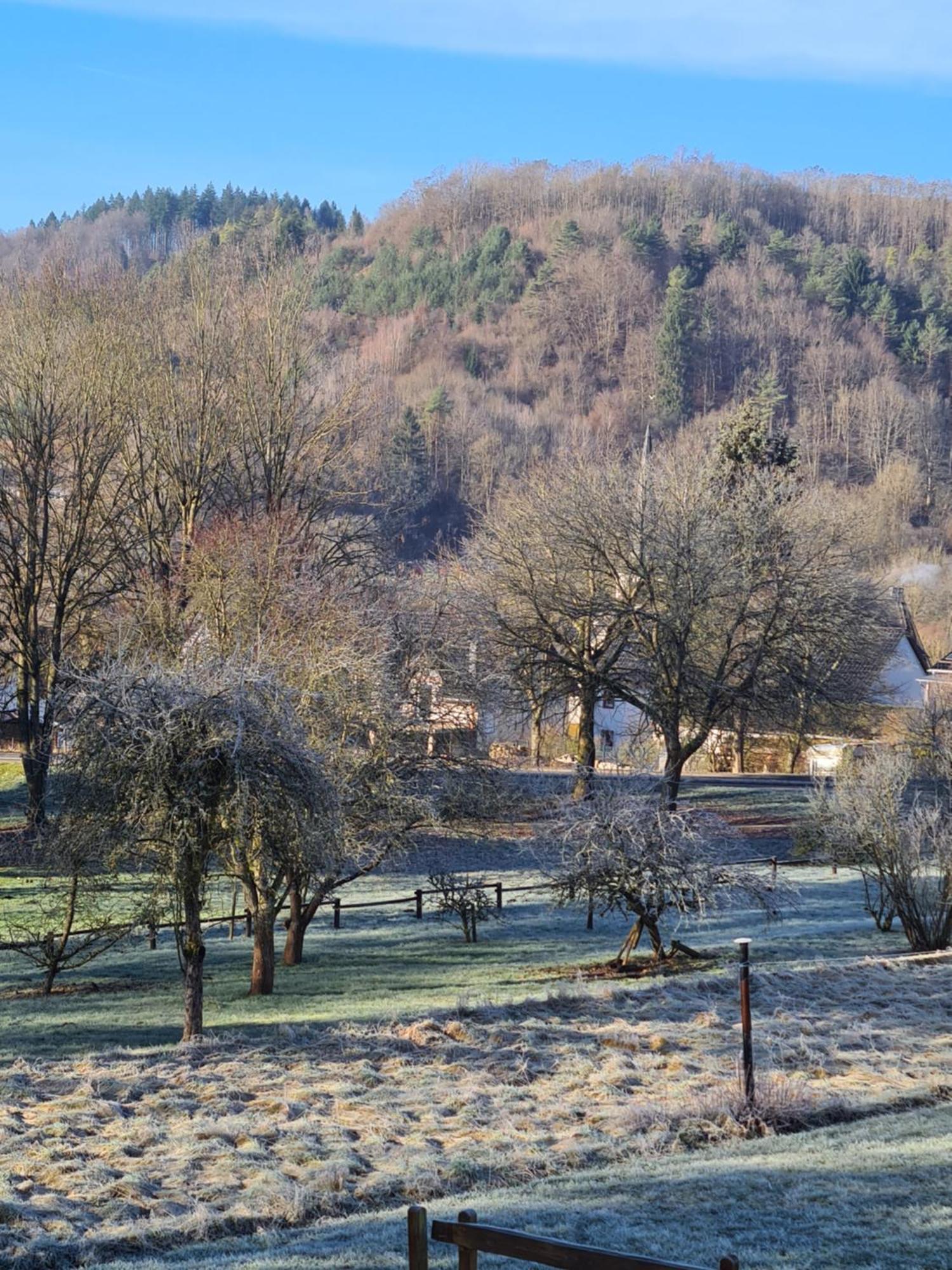 Ferienwohnung Burgblick Pelm Zewnętrze zdjęcie